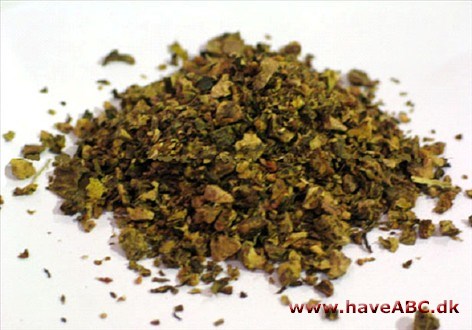 Rhodiola rosea is very effective for improving mood and alleviating depression. It has also been used for centuries in Scandinavia, both by the Vikings and the Sámi. See more...