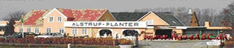 Alstrup Planter
