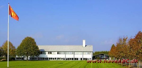 Anlægsgartner Torben Jensen ApS Træfældning og beskæring:
Trænger frugttræerne til lidt mere lys eller er dronningebusken blevet for stor? Skal lindetræet i forhaven stammes lidt op, eller måske skal det helt væk?