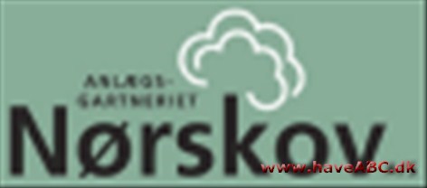 Anlægsgartneriet Nørskov A/S Formålet med et hegn er utallige. Typiske grunde til at opsætte hegn er ønsket om at skærme for vind, nysgerrige blikke, trafikstøj.