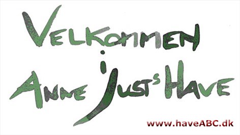 Anne Justs Have Her kan havens gæster, fra det tidlige forår til ind i efteråret, opleve den blomstrende frodighed, som er et særkende for stedet.
Samtidig kan Anne Justs kunst ses i atelieret.