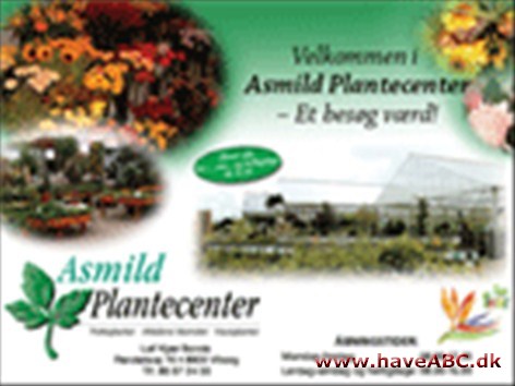 Asmild Plantecenter Vi fører et stort og bredt sortiment i haveplanter, lige fra det traditionelle til det sjældne.