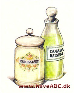 Balsam-urter