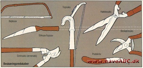 Beskærings­redskaber