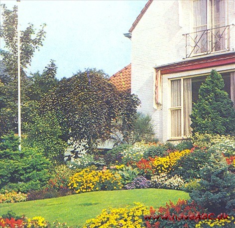 Blomsterbede Blomsterbede