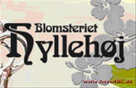 Blomsteriet Hyllehøj