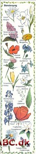 Blomstersprog og -symboler Blomstersprog og -symboler