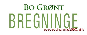 Bo Grønt Havecenter Bregninge Vores indendørsafdeling rummer alt hvad hjertet kan begære. Spændende og stort udvalg i potteplanter, keramik, krukker, kurve, pyntegenstande, gaveartikler, sammenplantninger, vin, afskåret blomster