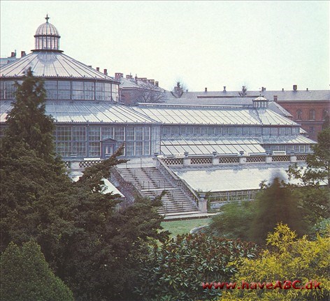 Botaniske haver Botaniske haver