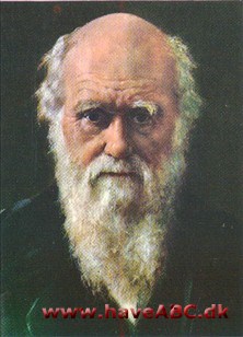 Darwin, Charles Robert Darwin, Charles Robert