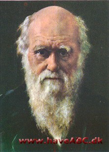 Darwin, Charles Robert