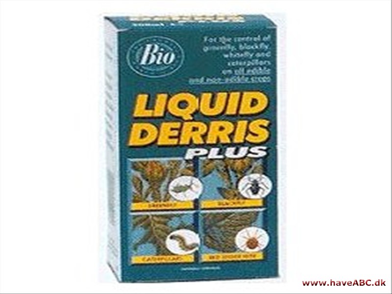 Derris Derris