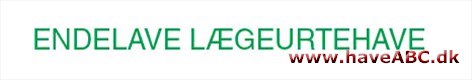 Endelave Lægeurtehave I Lægeurtehaven kan man bl.a. se de fleste af de lægeplanter, der findes vildtvoksende på Endelave samt lægeplanter, som har været dyrket ved klostre og i haver før i tiden.