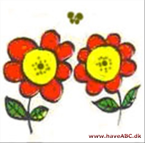 Welcome to www.haveABC.dk - preliminary 4653 articles about garden and flowers