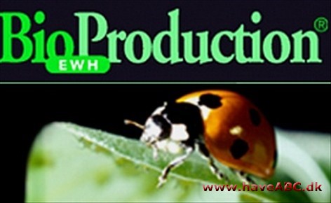 EWH Bioproduction EWH Bioproduction