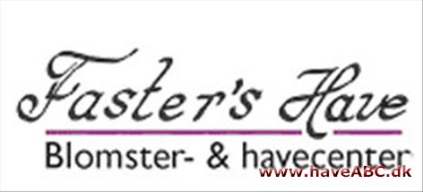 Faster's Have ApS Vi har et bredt sortiment i alle haveplanter, og prøver altid at have forskellige specialiteter hjemme, hvad enten det er stauder, rhododendron, roser, frugttræer, sirbuske, krukker m.m.