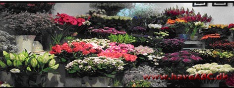 Fru Hansens Have Kurser
Alt i binderi – Bryllup – fest – jul – påske – have skulptur – tørre og silkeblomster