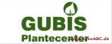Gubi's Plantecenter Velkommen til Gubi’s Plantecenter. Vi har planter til haven, sommerblomster, krukker, granit, jordprodukter og tilbehørsvarer til haven m.m Kom og kik nærmere.