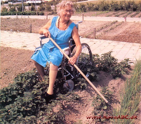 Handicaphave Handicaphave