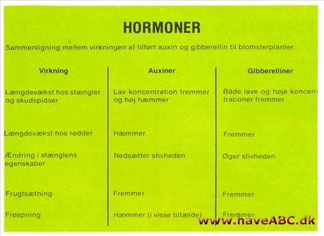 Hormoner