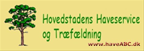 Hovedstadens Haveservice Hovedstadens Haveservice og Træfældning v/Ivan Hansen er et haveservicefirma, som henvender sig til såvel private som erhverv.