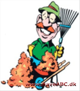 Hus & Haveservice Fliselægning, Terrasser, Nyanlæg, Renovering, Plænerenovering, Græsklipning og Beskæring. Serviceaftaler til private, sommerhuse, boligforeninger og virksomheder. Gravearbejde med minigraver udføres.