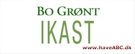 Ikast Planteskole ApS Du finder Bo Grønt butikker 26 forskellige steder på tværs af landet. og dermed også et kæmpe udvalg af kvalitetsplanter, haveartikler og indretning til dit hjem og din have.
