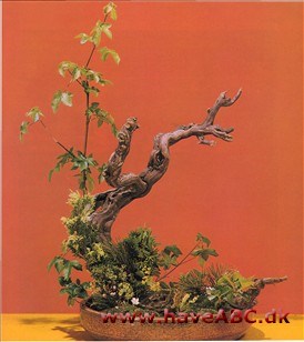 Ikebana Ikebana
