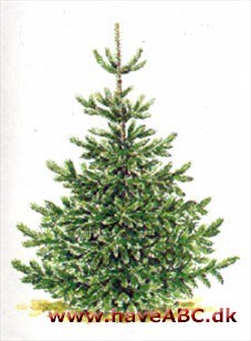 Juletræ Juletræ