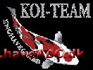 Koi-team Enghavegaard ét af Danmarks største bassincentre
- hvor hele familien kan finde inspiration til vand, sten og fisk i haven.