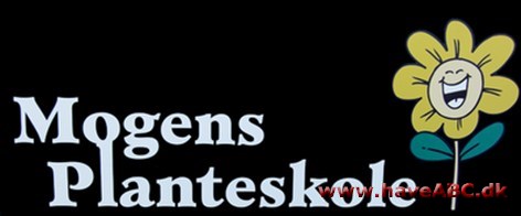 Mogens Planteskole Vi hjælper dig også med at anlægge din have, samt tager ud og beskærer træer og buske.
Vi har tilbehør til konkurrencedygtige priser såsom pottemuld, krukker, naturgødning, græsfrø og meget andet.