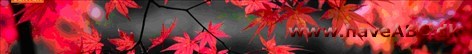 Nordic Bonsai Center Vi har flere bonsai workshops i løbet af året.
Alle er velkomne - Workshop er for alle både begyndere, øvede og garvede - Det er et sted, hvor man får inspiration,