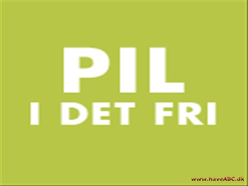 Pil i det fri v/Marianne Mortensen Jeg underviser små hold på 8 - 12 personer i mit værksted. Normalt er kurserne fra 9.30 til 16.30, og de kan følges af alle interesserede, øvede som nybegyndere.