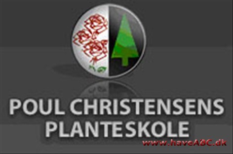 Poul Christensen's Planteskole ApS Vi har et stor udvalg af følgende:
Frugttræer, frugtbuske
Frø
Fuglehuse
Gaveartikler
Granit
Hækplanter
Træer og buske
Jordartikler
Krukker
Krydderurter
