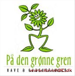 På den grønne gren Vi gør meget ud af at vejlede kunderne, mange klares her i planteskolen, andre gange er vi ude i de konkrete haver og vejleder - eller laver en detaljeret HAVEPLAN, hvis der er det, man ønsker.