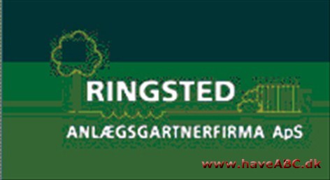 Ringsted Anlægsgartnerfirma ApS VI tilbyder blandt andet:
Belægninger, indkørsler, terrasser, trapper, beskæring, vedligeholdelse, planteopgaver, anlæg af bede og plæner, vinterydelser og meget mere
