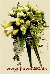 Rosenlund Vi sælger i butikken potteplanter fra drivhus. Snitblomster - buketter fra kølerum. Vi laver sammenplantninger, forskellige arrangementer, brudebuketter, borddekrationer.