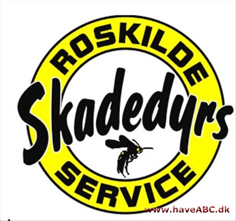 Roskilde Skadedyrsservice Roskilde Skadedyrsservice er et autoriseret skadedyrsbekæmpelsesfirma.
Vi servicerer både private og virksomheder med udryddelse af skadedyr som hvepse, møl, mus, fluer, myrer.
