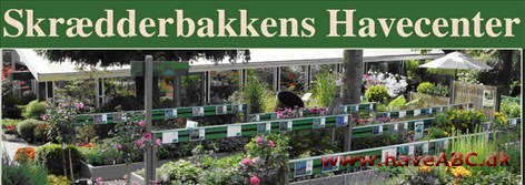 Skrædderbakkens Havecenter Hos os sætter vi altid kvalitet, professionel rådgivning og god service i højsædet. Vi har et stort og spændende udvalg af alt til haven - planter, krukker og tilbehør til både ude og inde.
