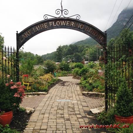 Lake Lure Flowering Bridge