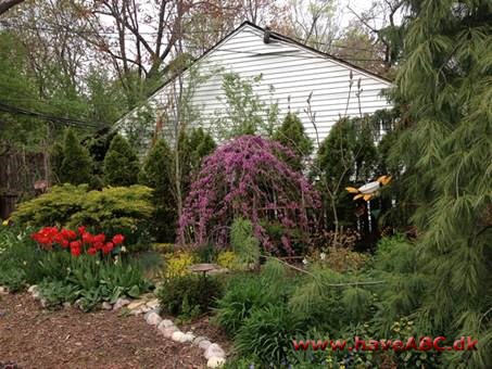 Forårs farver i Diane's have i Illinois