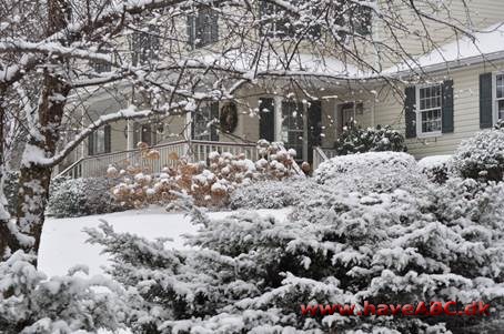 Vinter i Terie's have i New York Vinter i Terie's have i New York