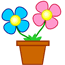 Potteplanter