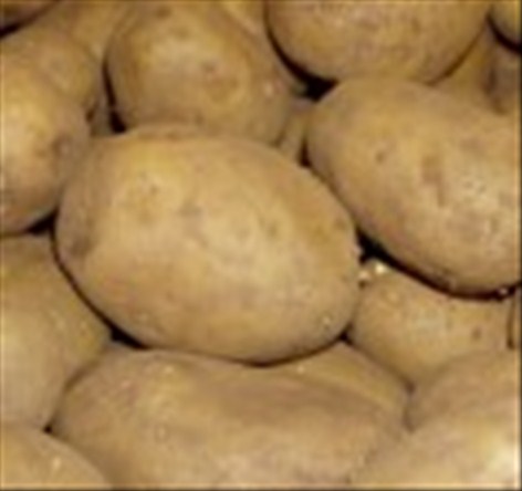 Artikel billede