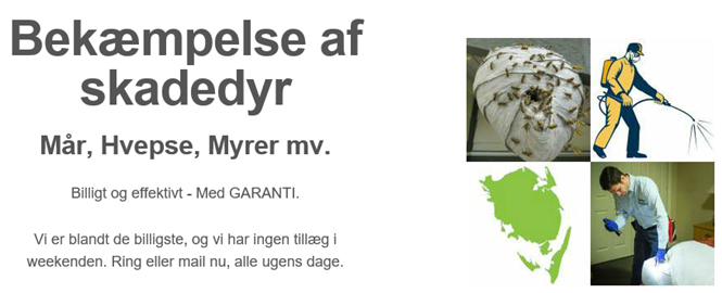 AZ skadedyrsservice