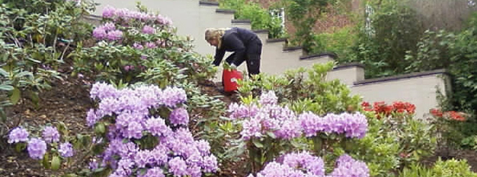 Bach og Nørgård Park og Pleje ApS