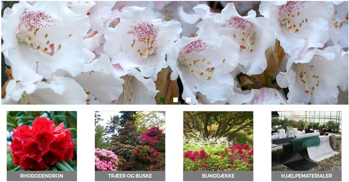 Rhodo Roskilde ApS