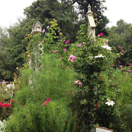 Lake Lure Flowering Bridge