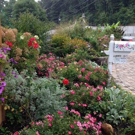 Lake Lure Flowering Bridge