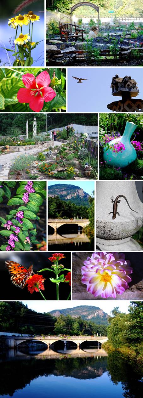 Lake Lure Flowering Bridge